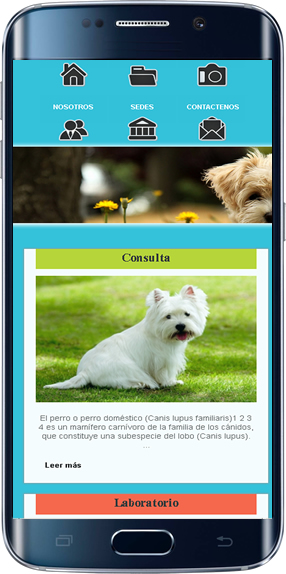 template responsive para veterinaria