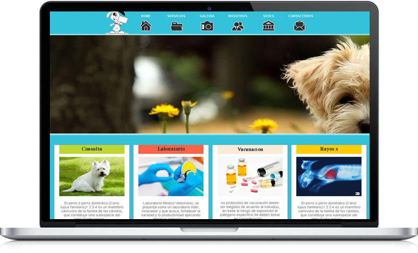 plantilla web sensible