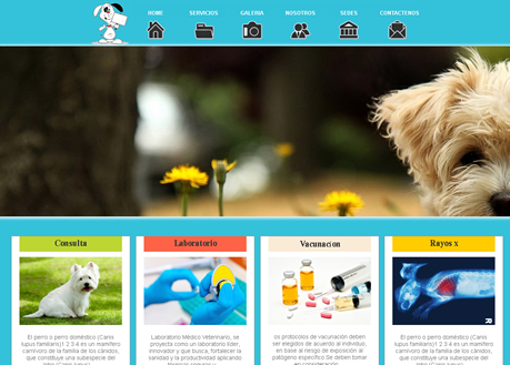 plantillas web para veterianrias